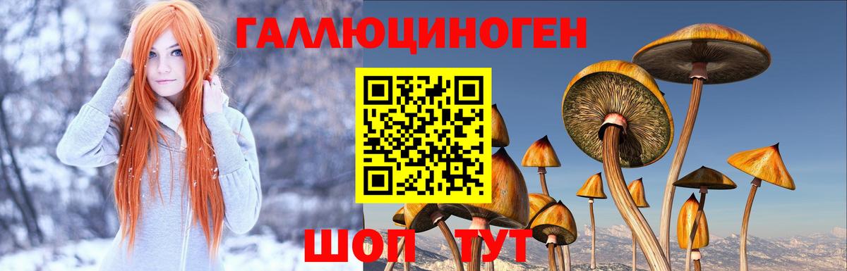 Галлюциногенные грибы Magic Shrooms Сертолово