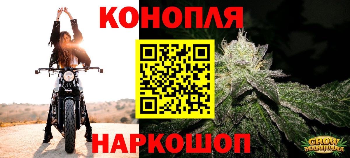 Конопля конопля  Бошки марихуана SATIVA & INDICA  Сертолово  Вход с VPN  Марихуана OG Kush 